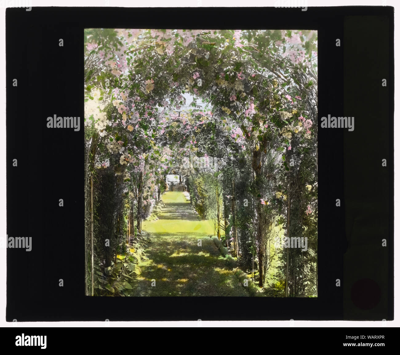 Il dottor Peter Brown Wyckoff house, Gin Lane, Southampton, New York. Arbor pathway Foto Stock