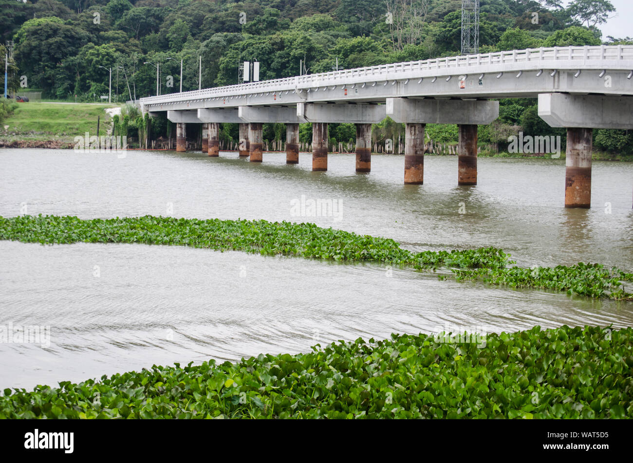 Nuovo ponte sul Fiume Chagres in Gamboa Foto Stock
