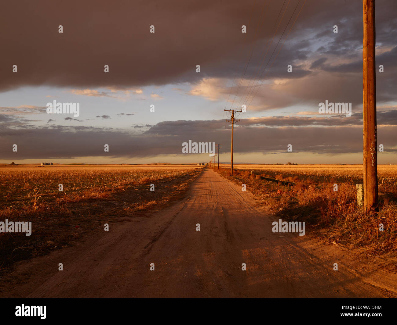 Crepuscolo approcci lungo una strada polverosa in Sedgwick County, vicino Julesburg, Colorado Foto Stock