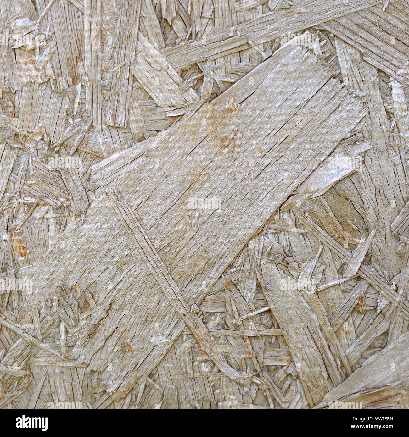 Pannelli OSB sono fatti di segatura di legno lucidato su uno sfondo di legno. Compressa riciclato legno truciolare. Premuto il pannello di legno Foto Stock