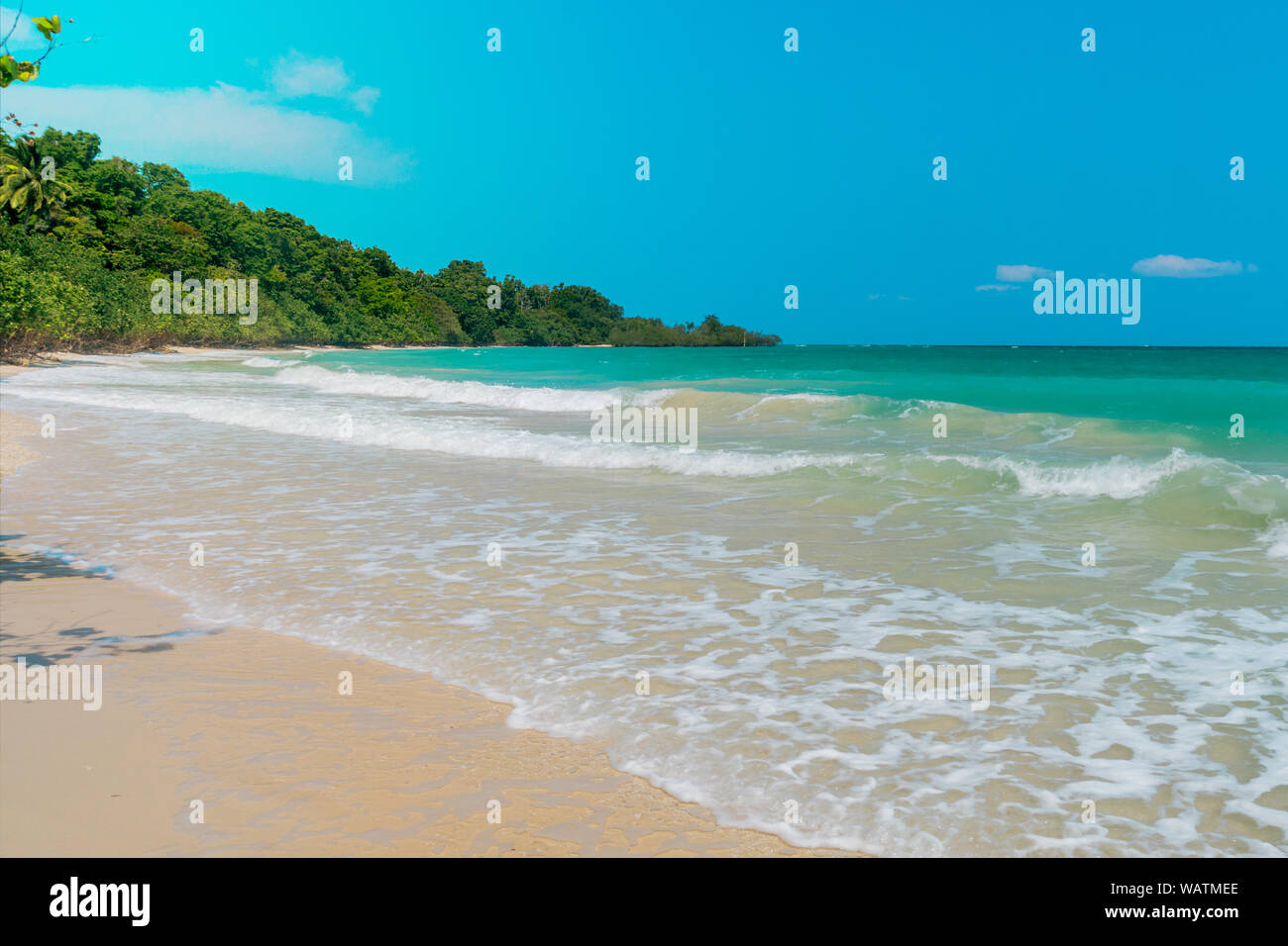 Passaggio del nord Isola. Andamane e Nicobar. India. Paesaggio marino con acqua turchese e cielo blu ed esotiche piante decidue. Foto Stock