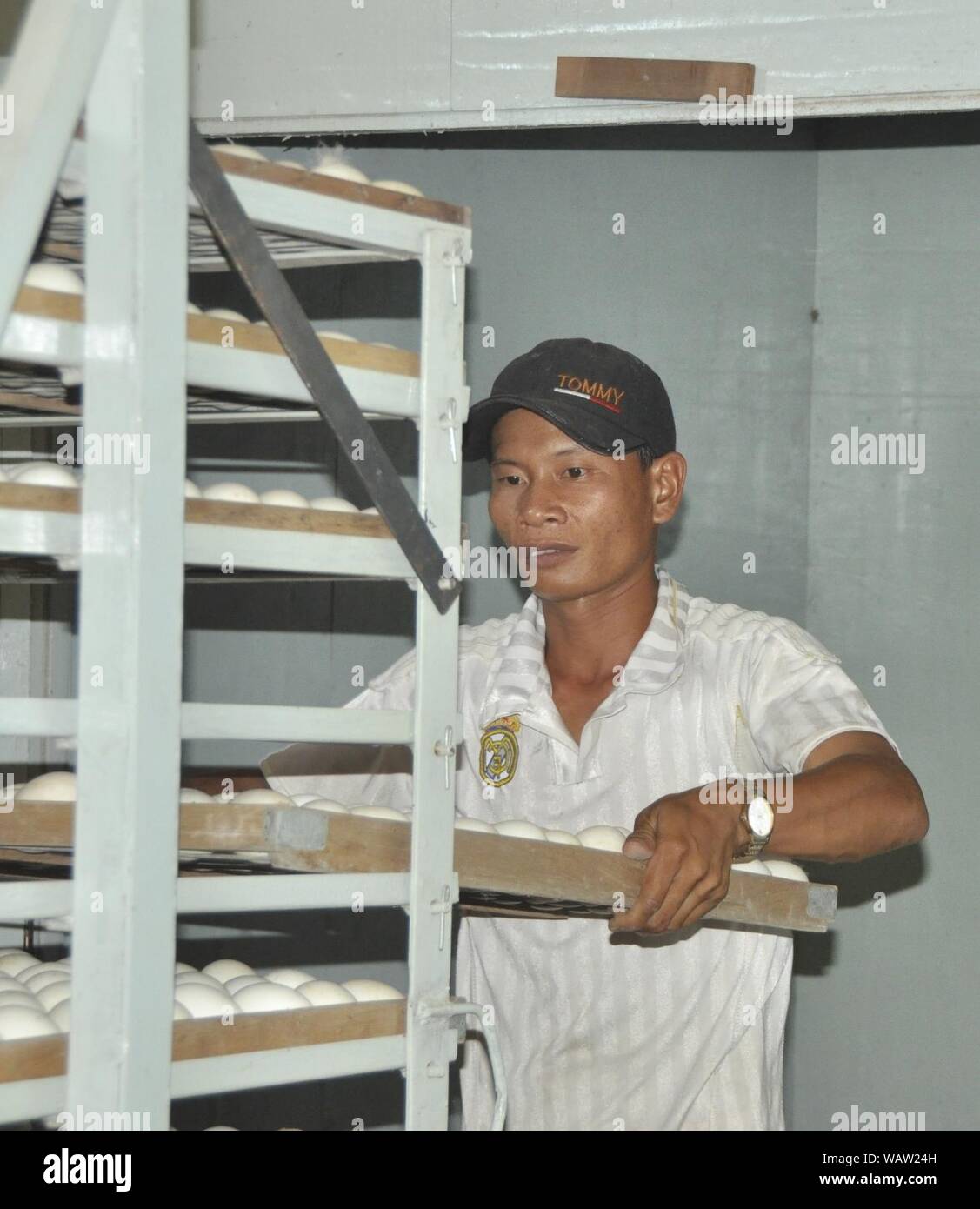 Duck egg incubatoio a Can Tho (14239816331). Foto Stock