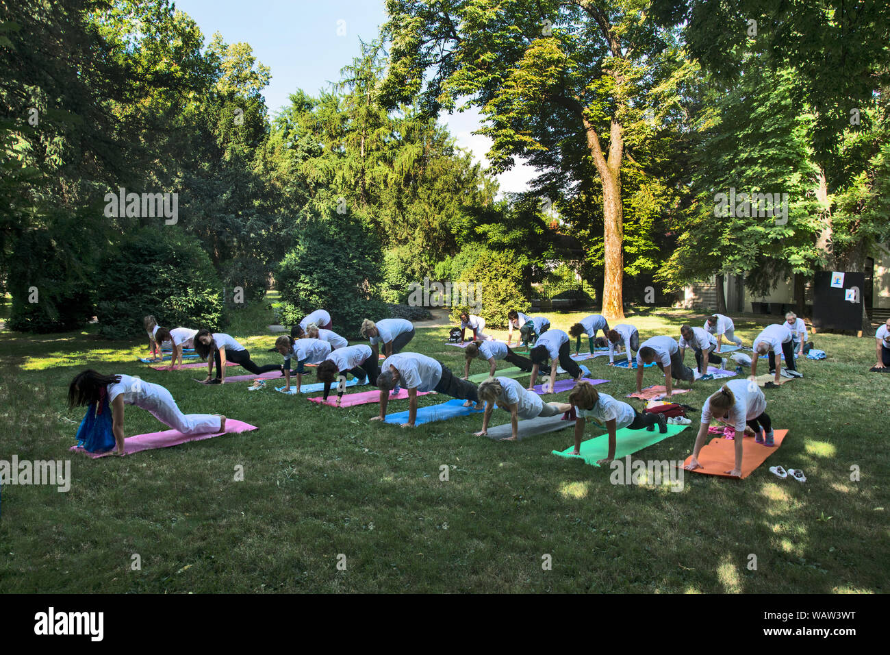 Di Zrenjanin, Serbia, giu 17, 2017. Un gruppo di persone stanno meditando nel parco in onore del World Yoga giorno. Foto Stock