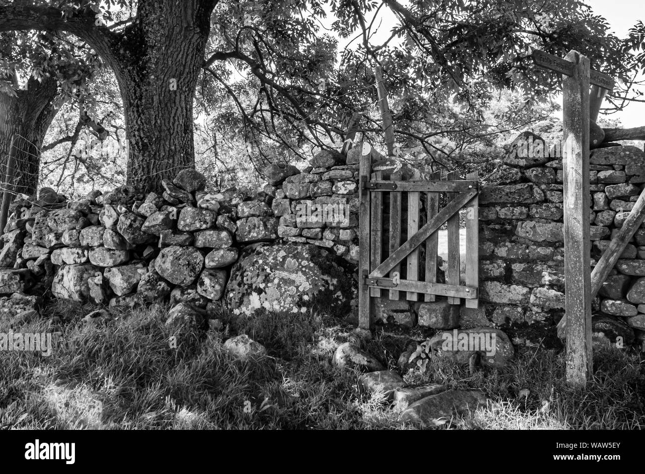 Porte in legno e montanti dello Yorkshire Dales Foto Stock