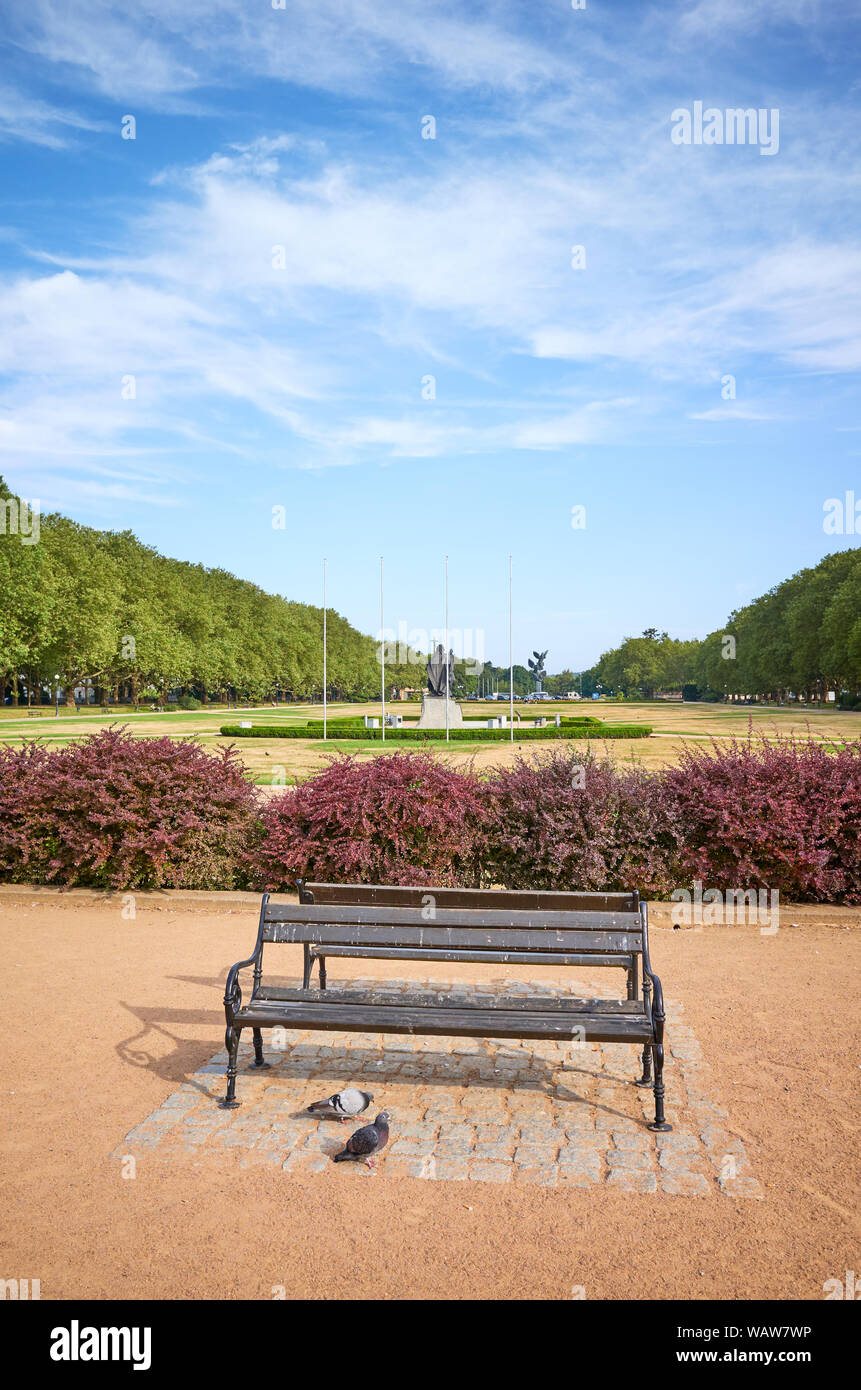 Un banco vuoto in Jasne Blonia park di Szczecin, Polonia. Foto Stock