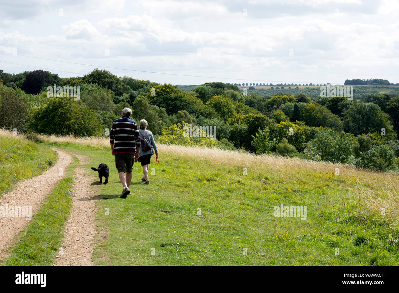 Un giovane a piedi con un cane, Leckhampton Hill, nei pressi di Cheltenham Spa, Gloucestershire, England, Regno Unito Foto Stock