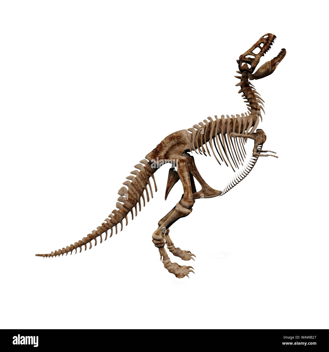 Rendering di t-rex skeleton su sfondo bianco. Foto Stock