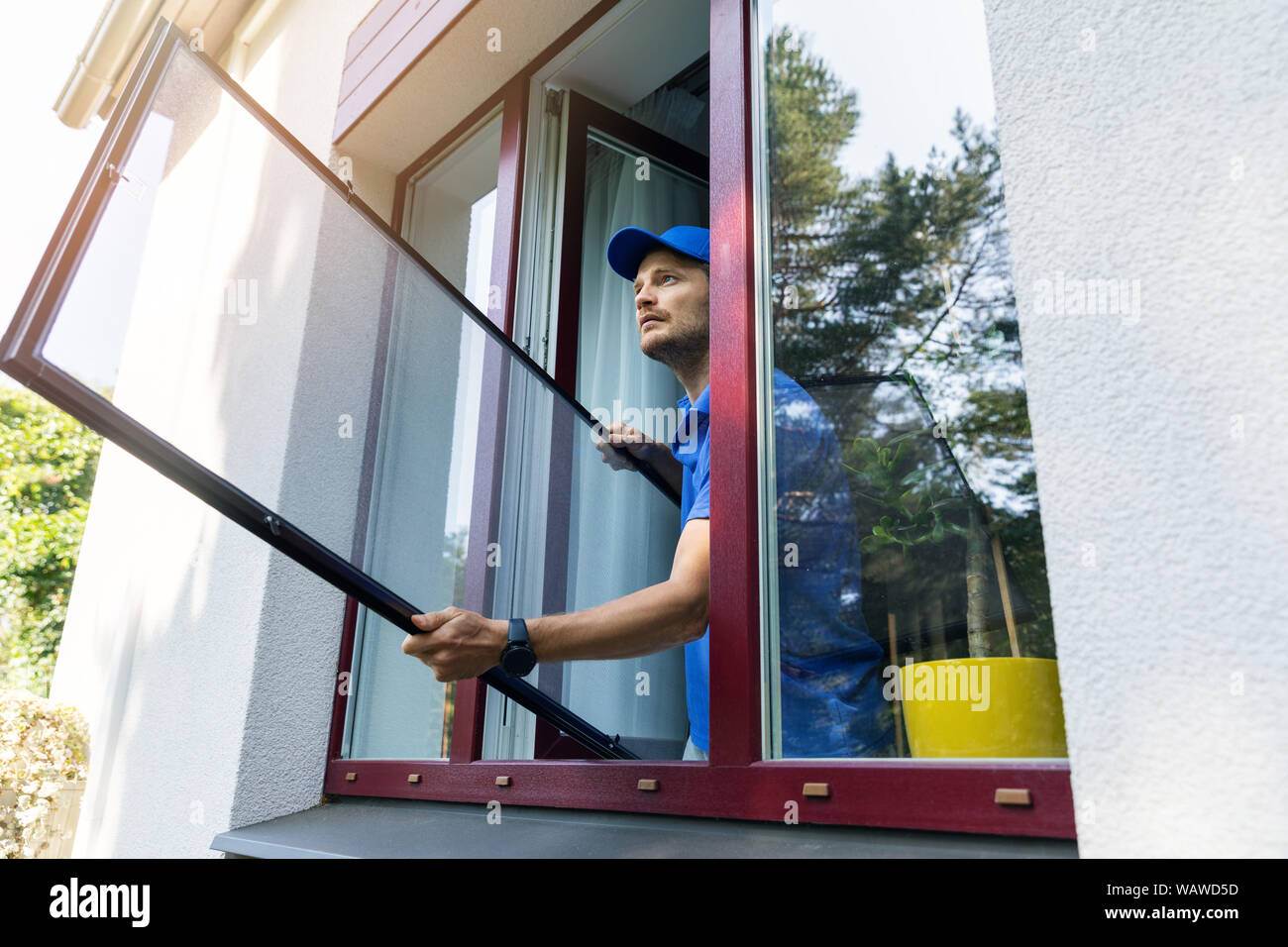 Tuttofare installazione zanzariera mesh sulla finestra di casa Foto Stock