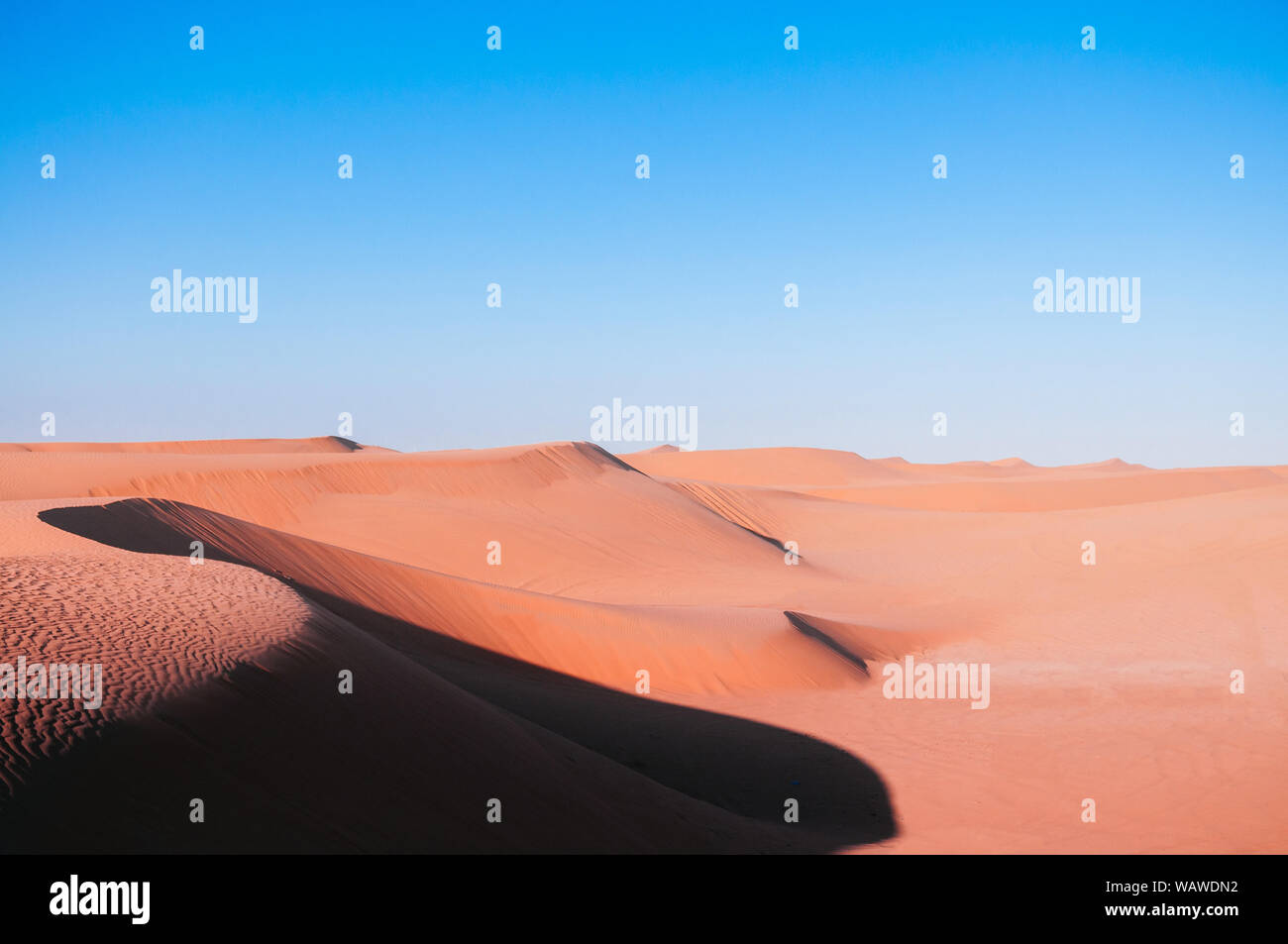 Vacuità sabbia esotici paesaggi di dune di Al Wathba deserto sotto la luce della sera con cielo chiaro. Vaso Paesaggio vicino Dubai - Abu Dhabi, Emirati arabi uniti Foto Stock