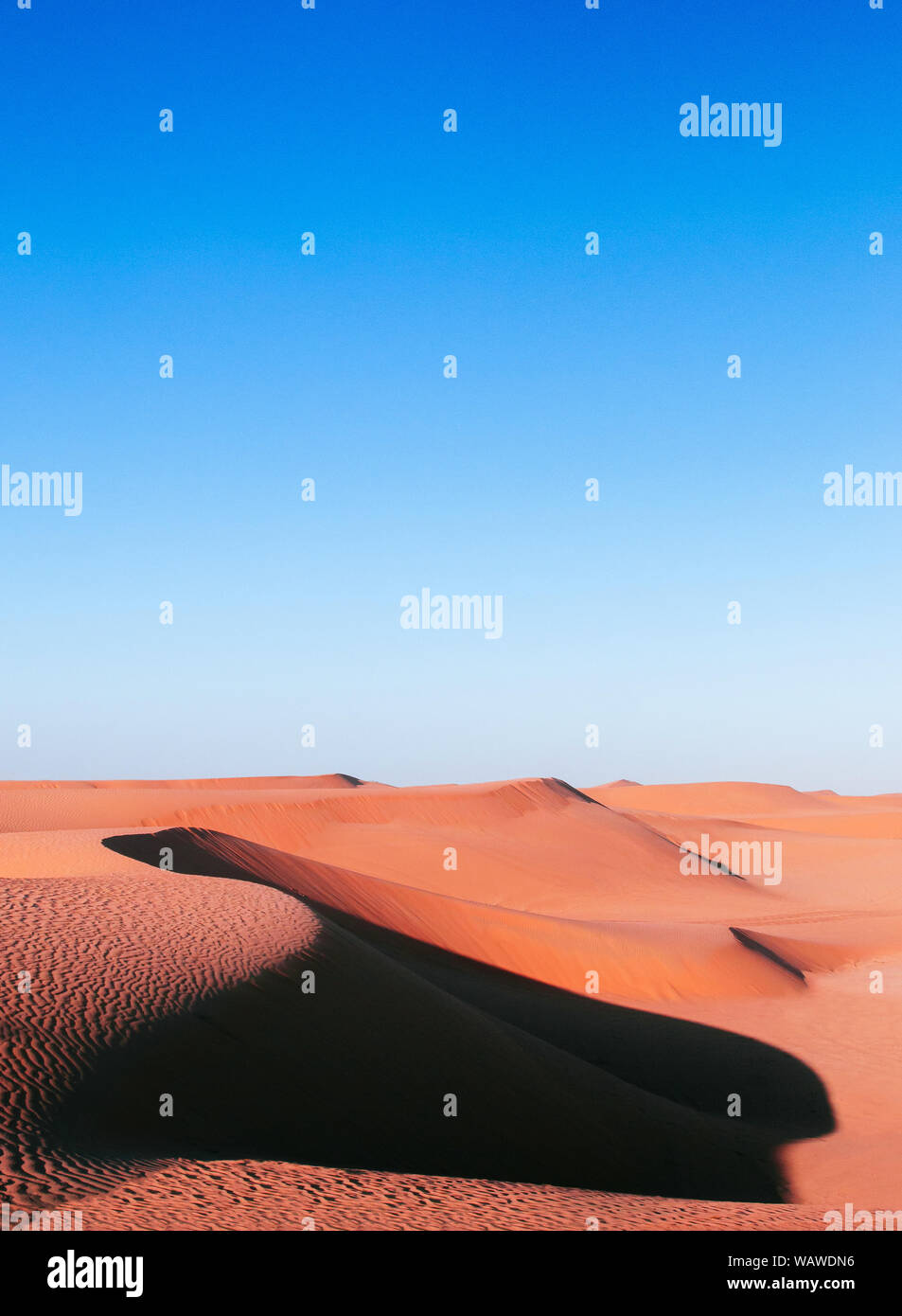 Vacuità sabbia esotici paesaggi di dune di Al Wathba deserto sotto la luce della sera con cielo chiaro. Vaso Paesaggio vicino Dubai - Abu Dhabi, Emirati arabi uniti Foto Stock