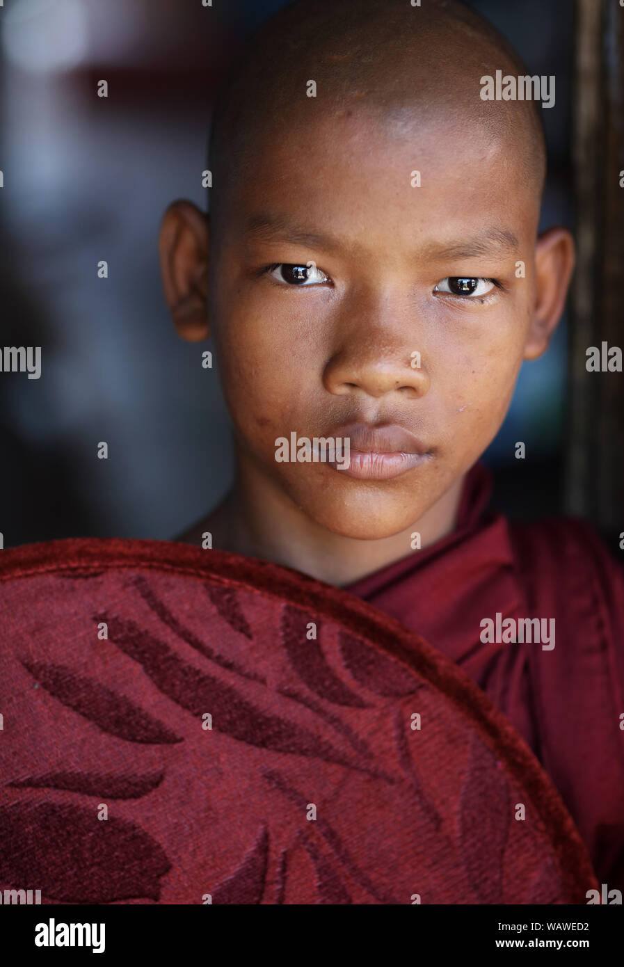 Debuttante birmano in corrispondenza di un buddista novizio cofano cerimonia di iniziazione di Bagan, Myanmar. Foto Stock