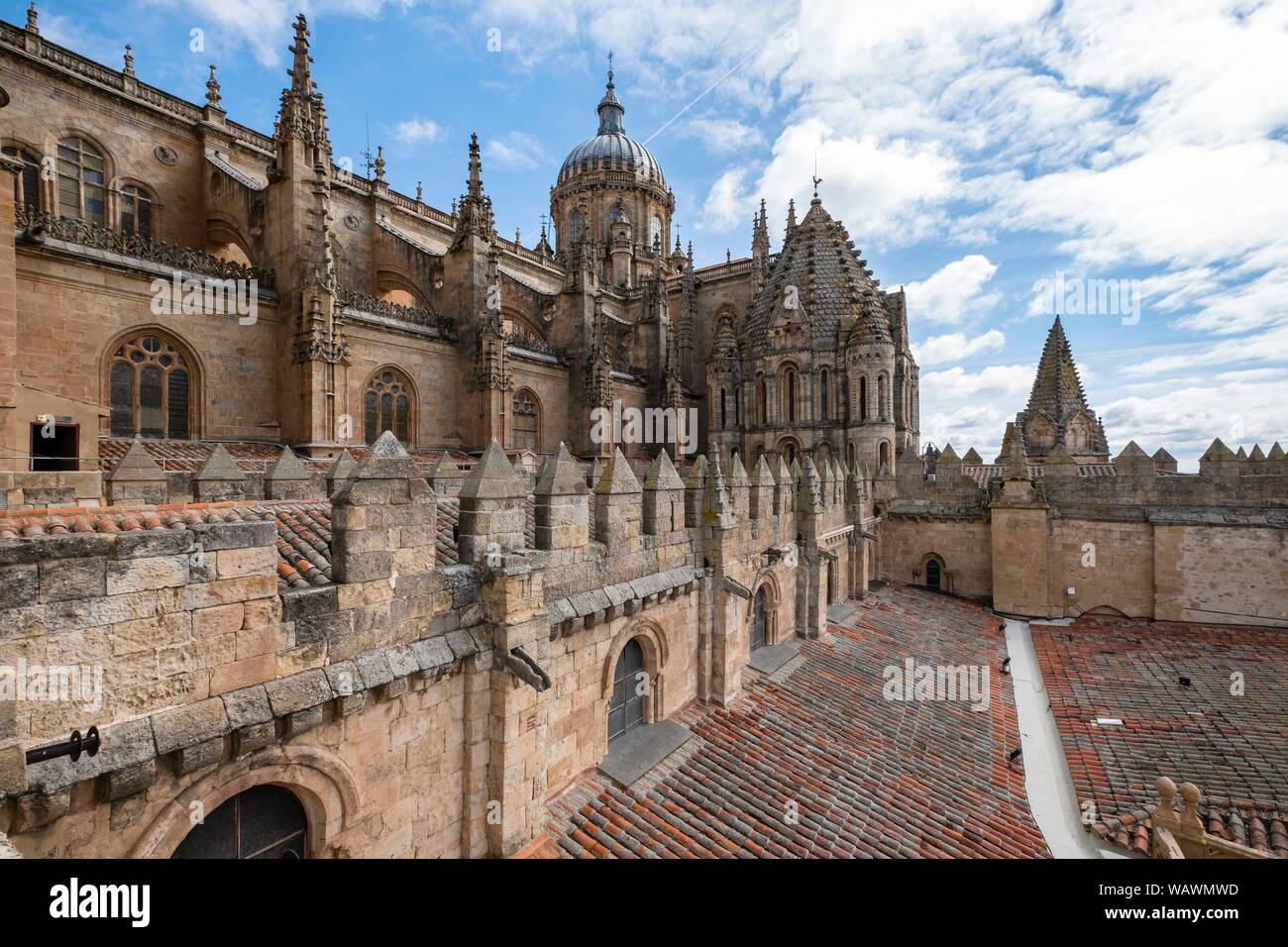 Vecchia gotica Cattedrale, Catedral Vieja, vista esterna, Salamanca, Castilla y León, Spagna Foto Stock