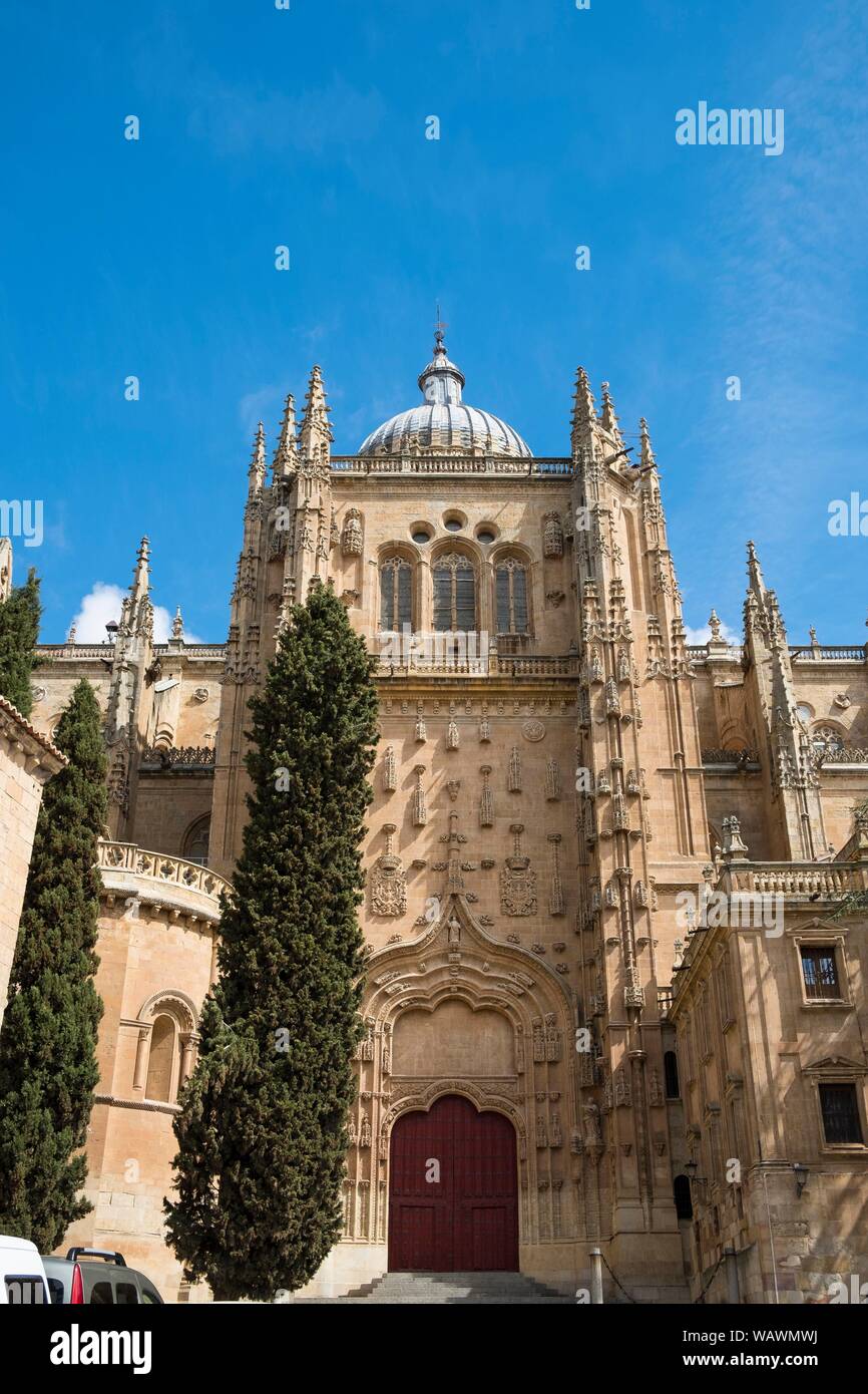 Vecchia gotica Cattedrale, Catedral Vieja, vista esterna, Salamanca, Castilla y León, Spagna Foto Stock