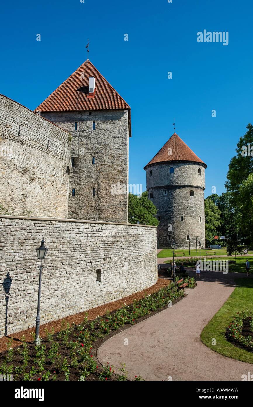 Torre Kiek in de Kok sulla collina della Cattedrale e le mura cittadine, città alta, la città vecchia di Tallinn, Estonia Foto Stock
