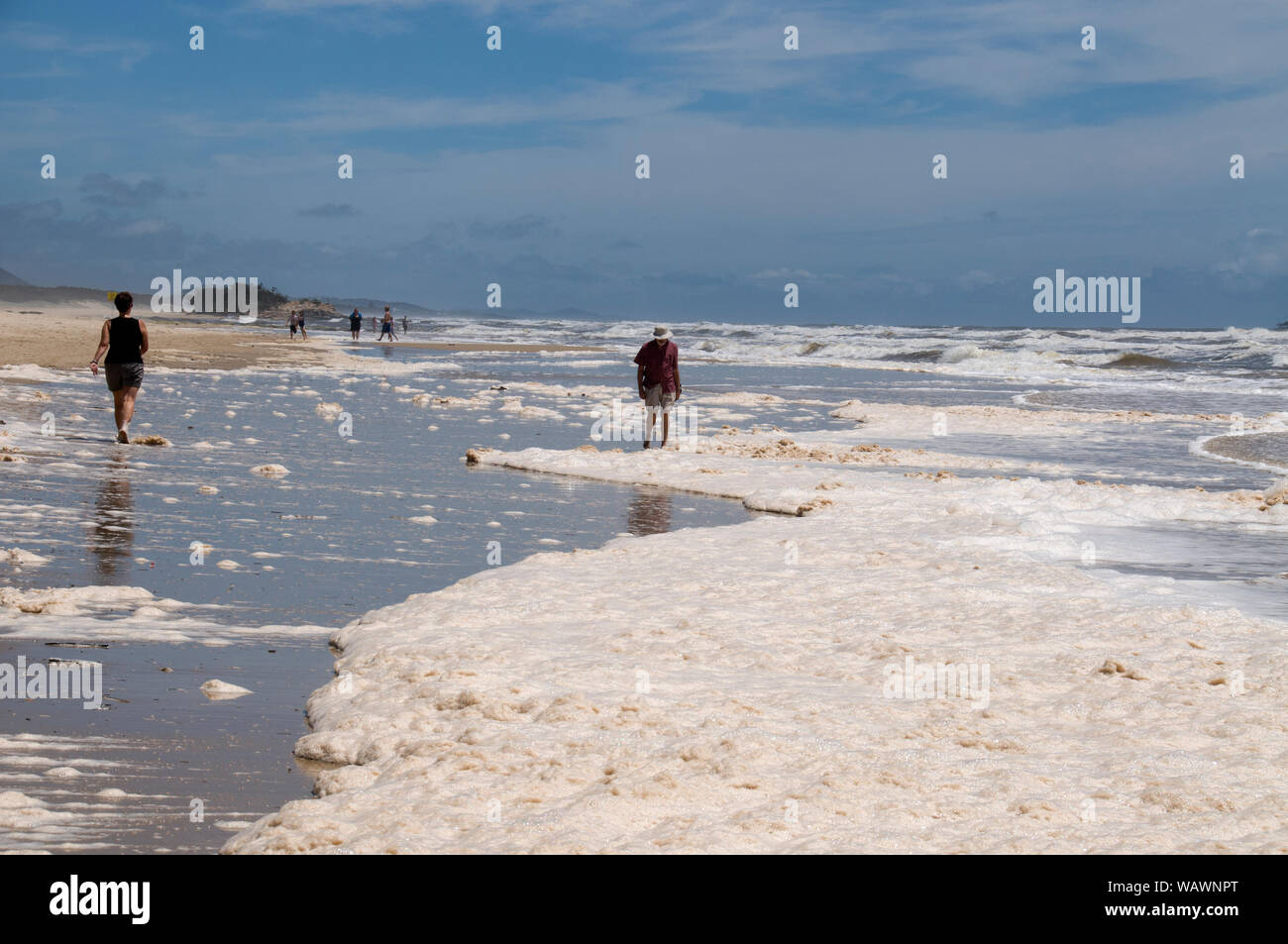 La spumeggiante maree marrone è avvenuto lungo le spiagge a testa di Alexandra sulla costa del sole nel Queensland, in Australia. A causa della recente insolito heavy r Foto Stock