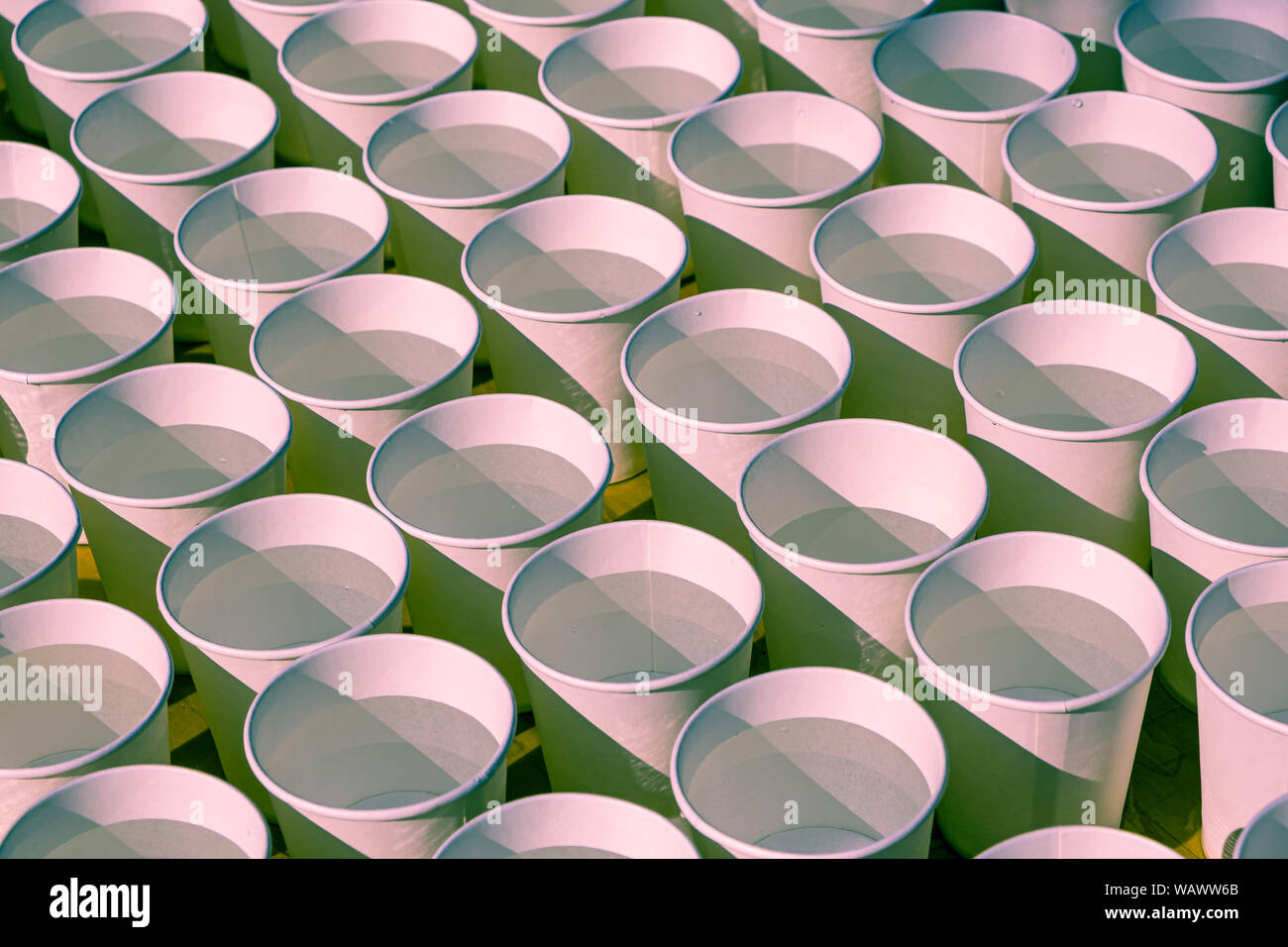 Molte righe di tazze di plastica con acqua in presenza di luce - schema di tessitura Foto Stock