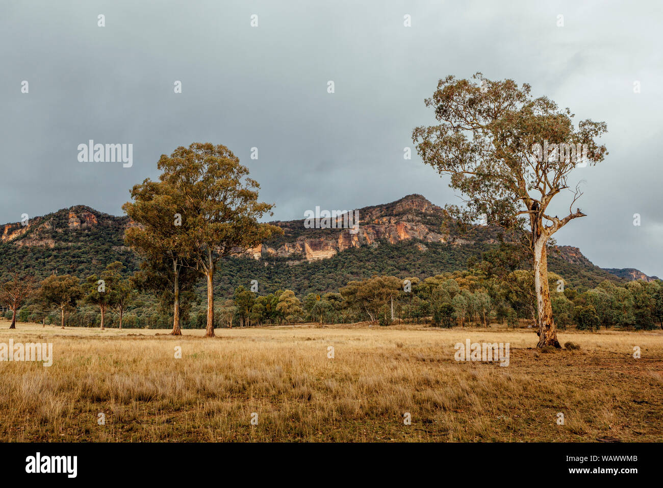 Pianure erbose sostenuta da bush naturale di terra e una cresta di arenaria entro il Capertee Valley, NSW, Australia Foto Stock