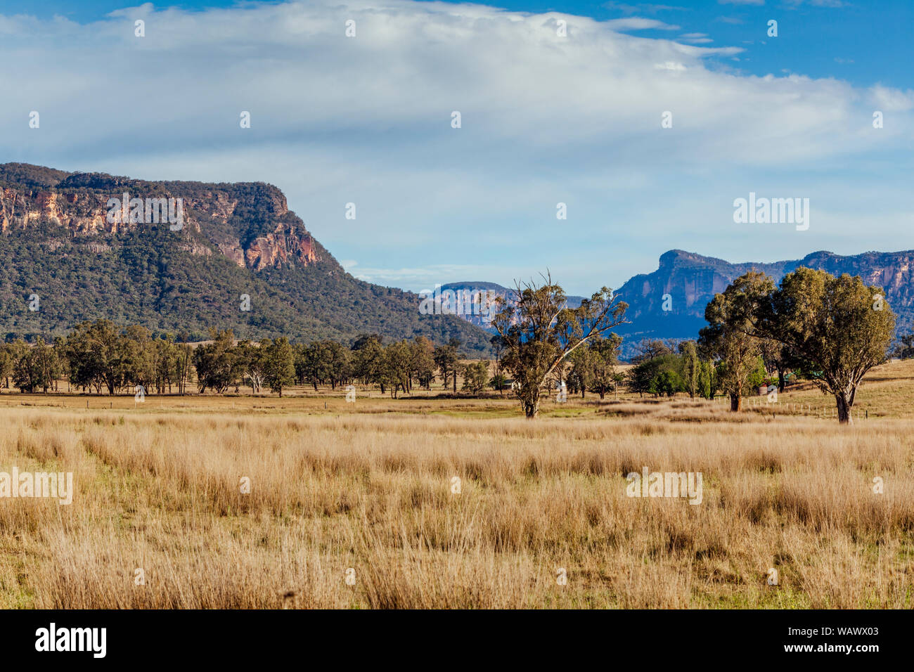 Ampie pianure erbose sostenuta da costoni di arenaria nella Capertee Valley, NSW, Australia Foto Stock