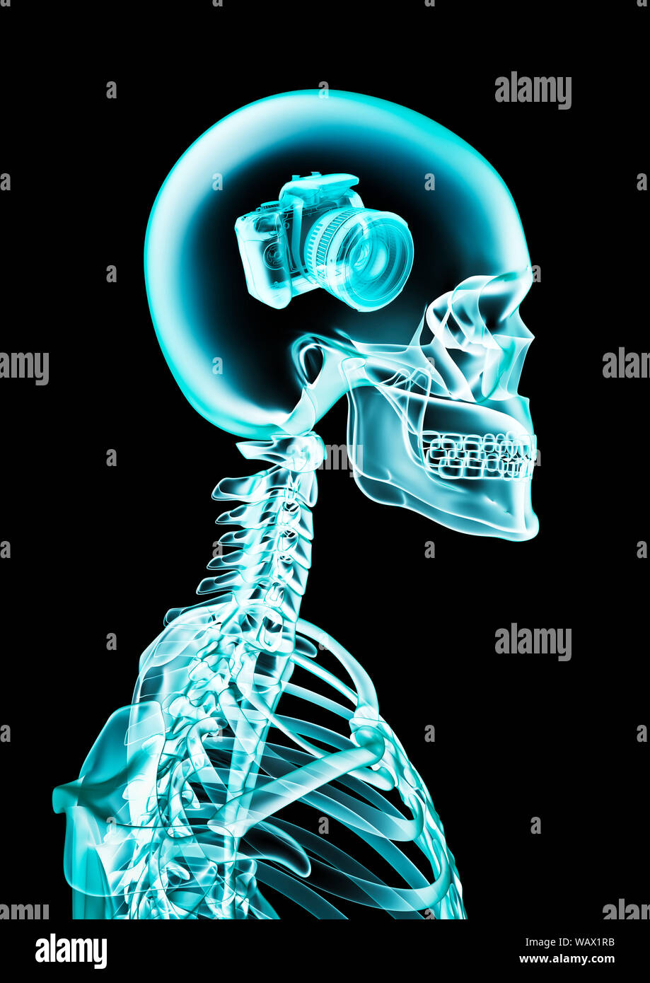 X-ray memoria fotografica / 3D illustrazione di scheletro umano x-ray mostra una fotocamera digitale all'interno della testata Foto Stock