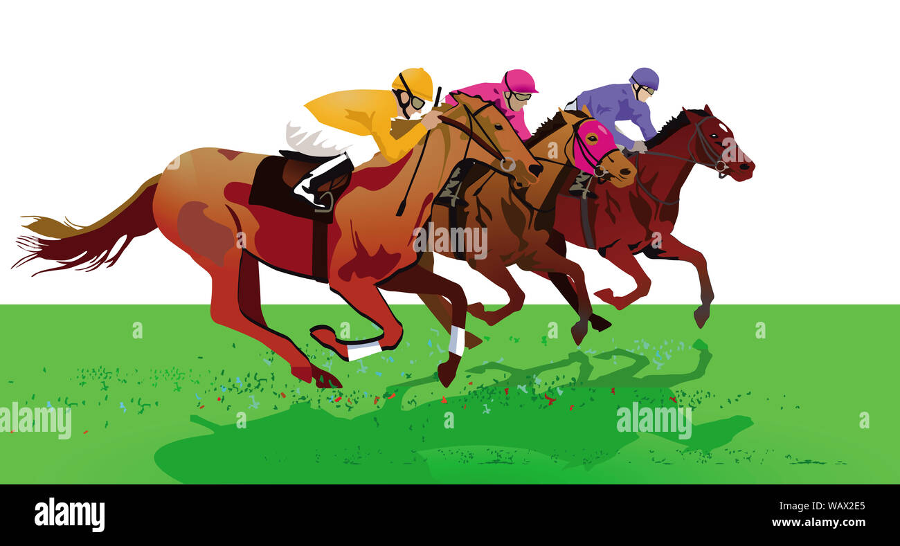 Sella Da Barrel Racing In Pelle Con Set Di Tack Incluso - Artigianale TASMIYA ENTERPRISES - Foto 4