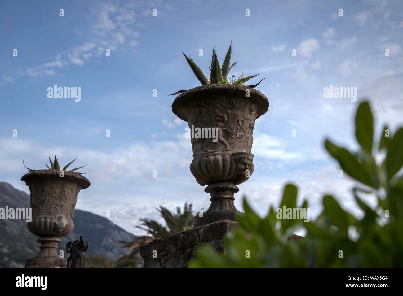 Dobrota, Montenegro - agavi crescono in cemento fioriere impostato su pilastri di gate Foto Stock