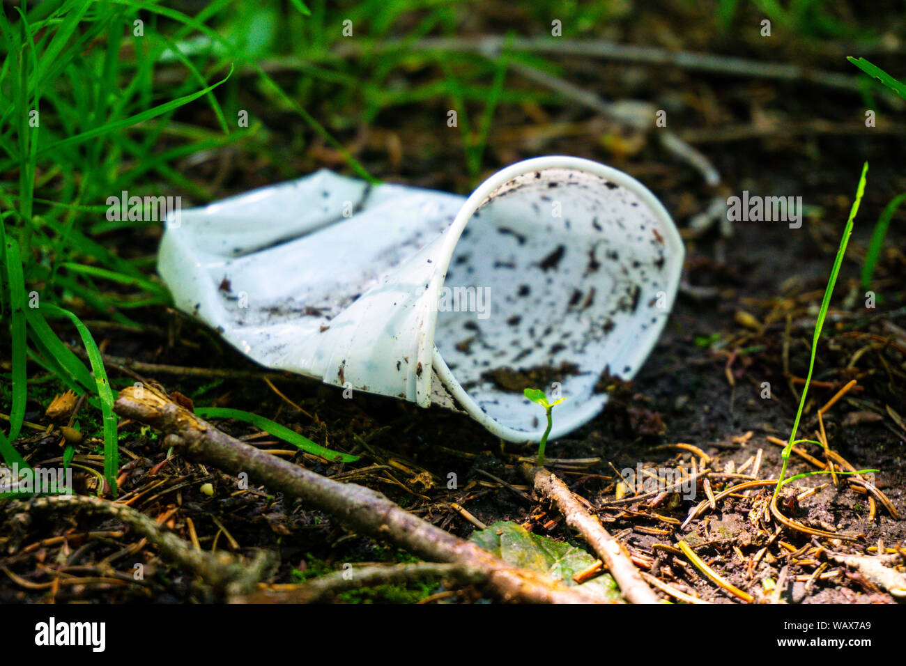 Un bicchiere di plastica si trova in una zona boscosa inquinare l'ambiente mentre le piante giovani cercano di crescere, Foto Stock