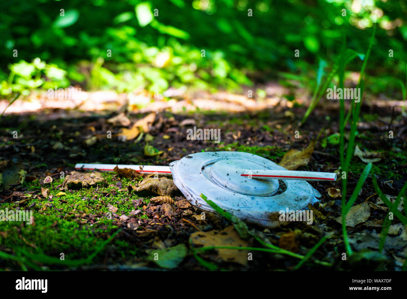 Un coperchio in plastica con paglia si trova al bordo in una zona boscosa, inquinando l'ambiente Foto Stock