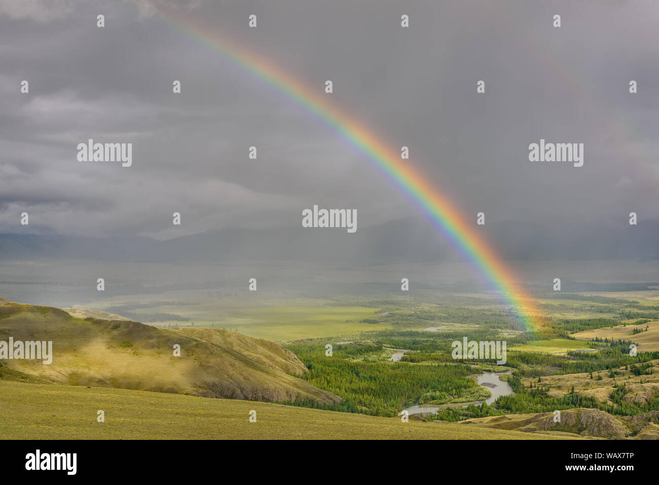 Incredibile brillante arcobaleno colorato sulle montagne, una vallata con un fiume di avvolgimento e la foresta contro un cielo tempestoso con le nubi e pioggia. Altai, Russia. Foto Stock