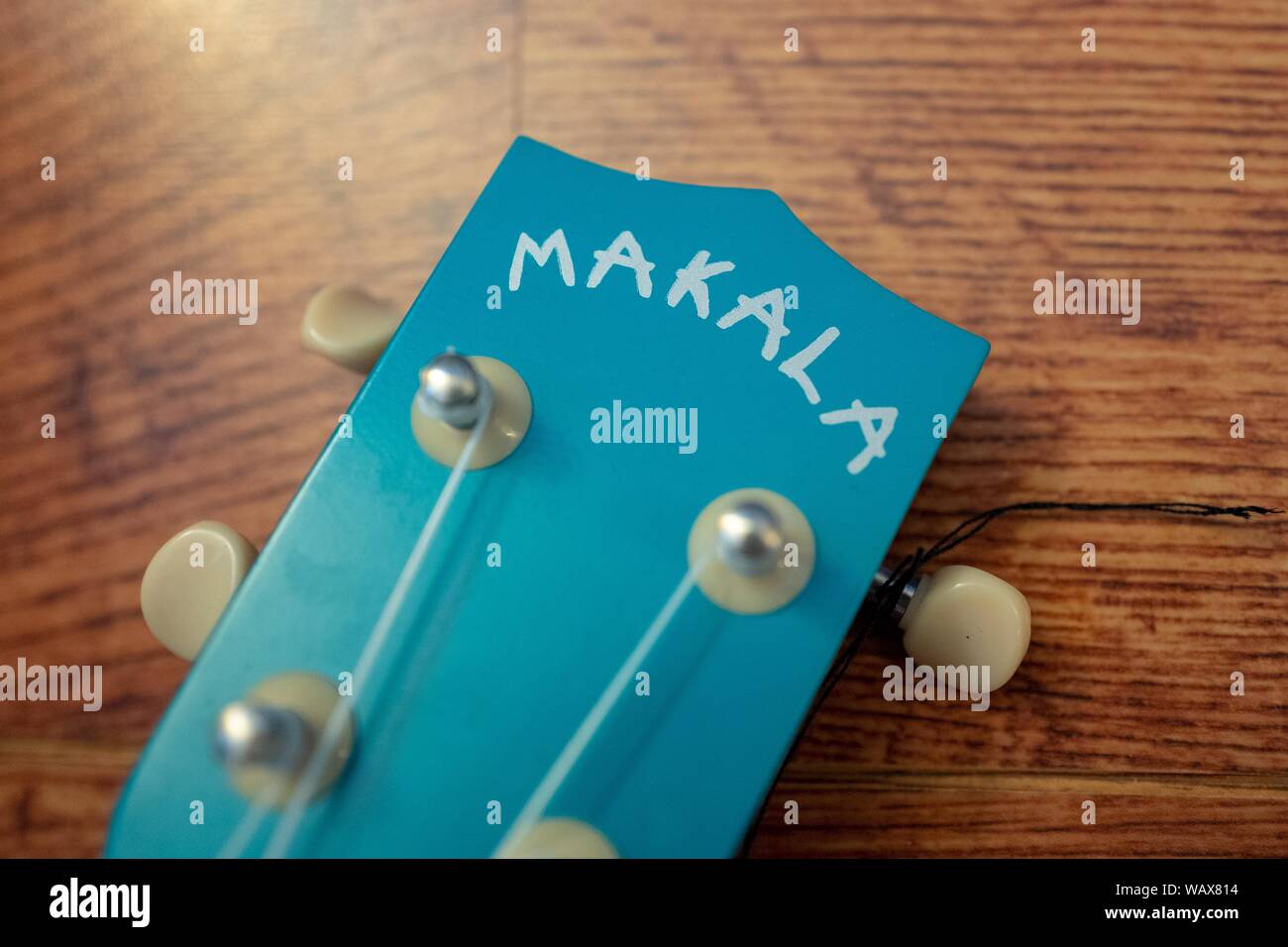 Close-up di logo per strumento maker Makala su una luce blu ukulele, Agosto 21, 2019. () Foto Stock