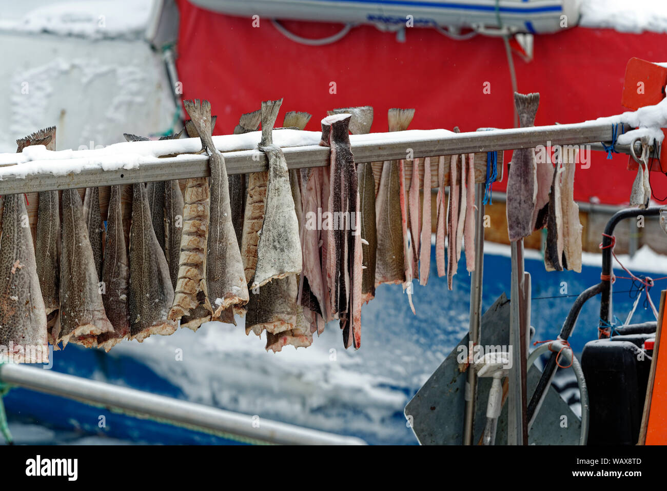 Fische trocknen auf der Stange eines Fischerbootes, Hafen, Ilulissat, Avannnaata Kommunia, Grönland, Dänemark. Foto Stock