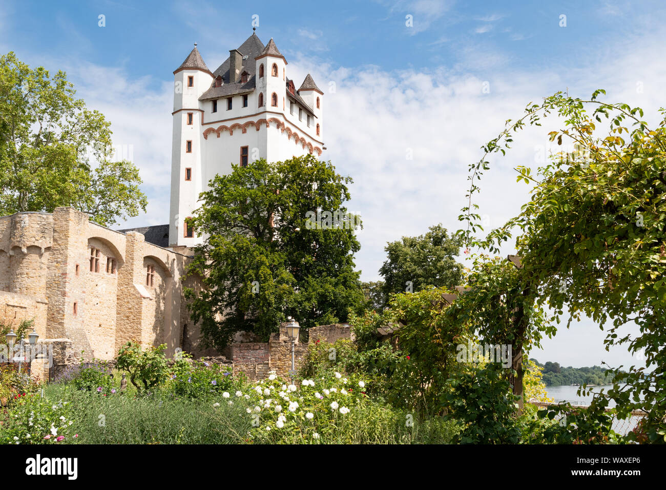 Eltville Castello elettorale, Eltville am Rhein, Germania Foto Stock