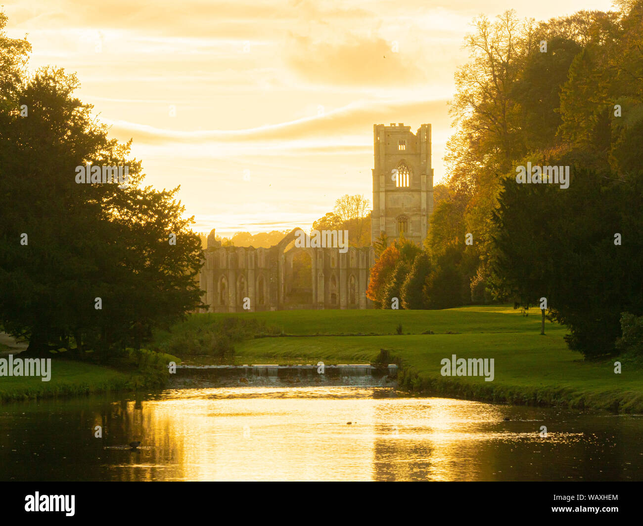 Rovine di Fountains Abbey a Studley Royal acqua giardino, North Yorkshire, Regno Unito. Foto Stock