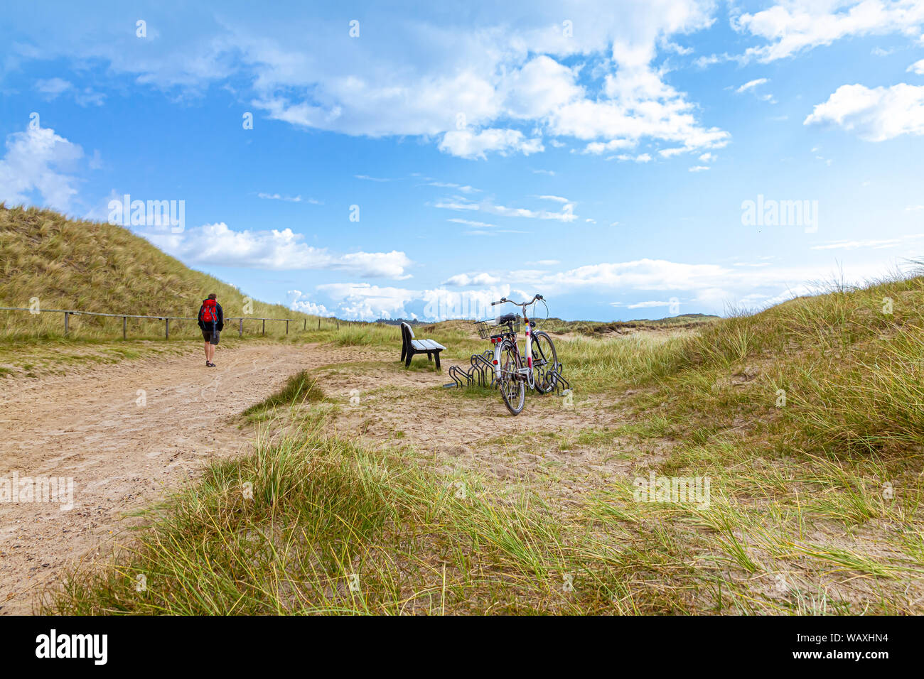 Tour Bicyling su isola di Amrum Foto Stock