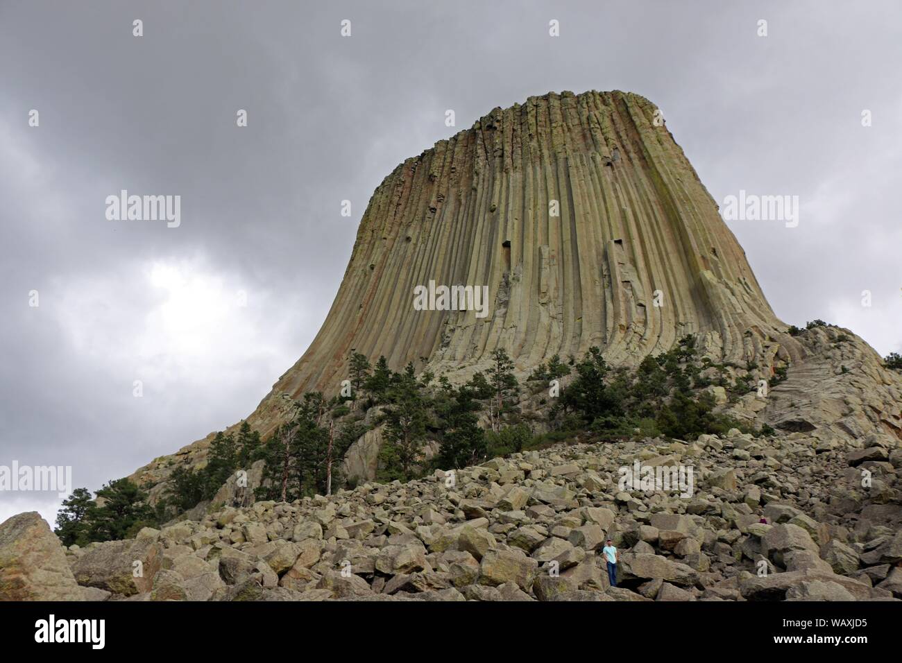 Foto ad angolo basso della Devils Tower National Monument Hill in Wyoming Foto Stock