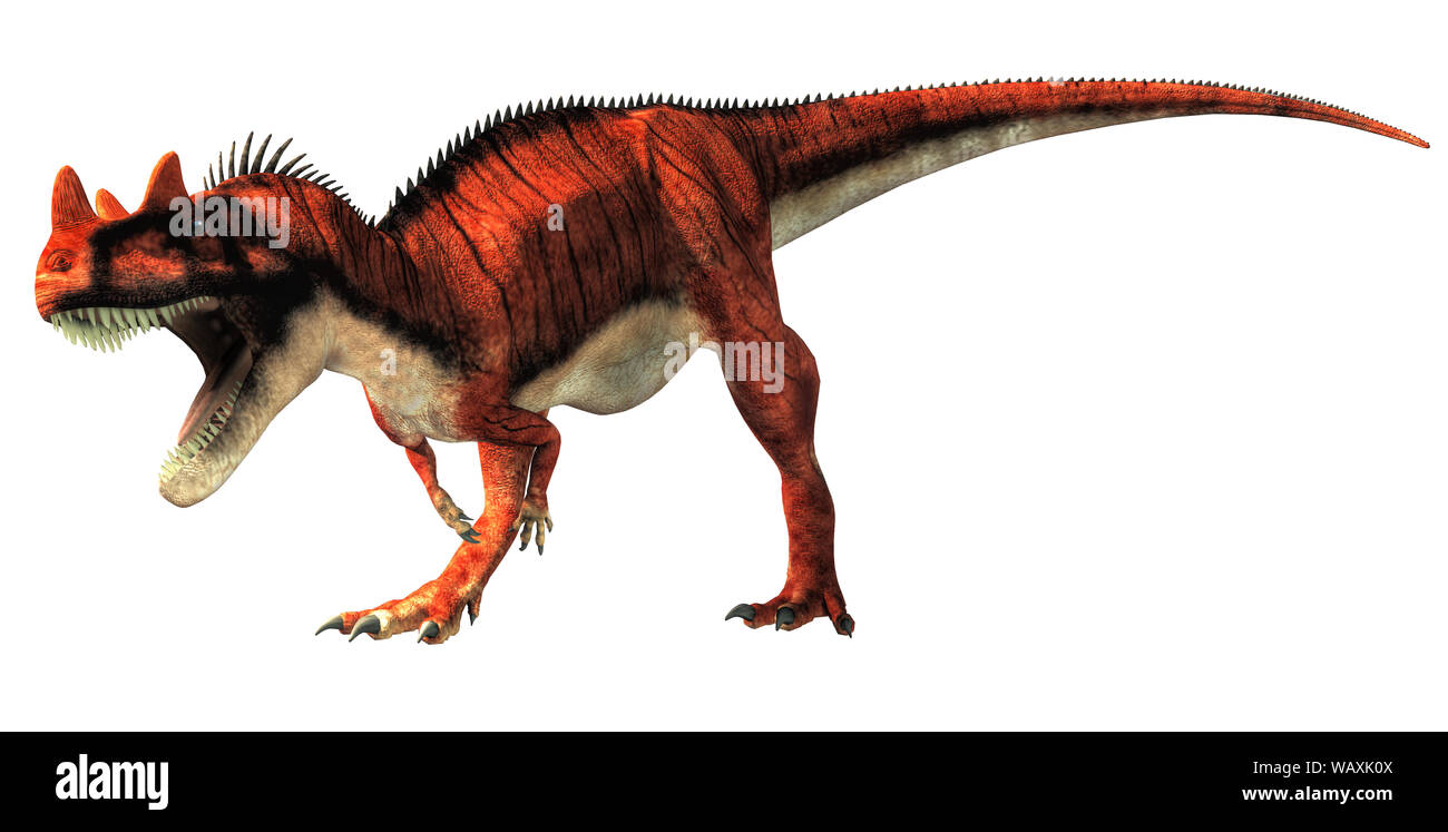 Ceratosaurus era un carnivoro theropod dinosauro del Giurassico era più  notevole per le corna sul suo muso oltre i suoi occhi. Su uno sfondo  bianco. 3D Foto stock - Alamy