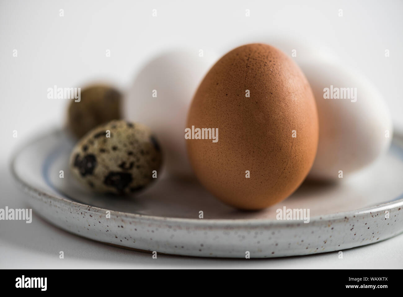 Marrone e bianco Uova di galline e uova di quaglia su una piastra di stile rustico. Immagine ravvicinata, immagine artistica. Foto Stock
