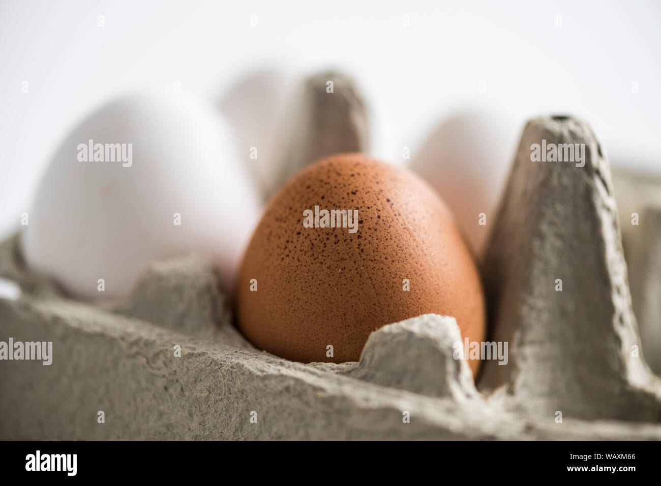Marrone e bianco Uova di galline in una scatola di cartone Foto Stock