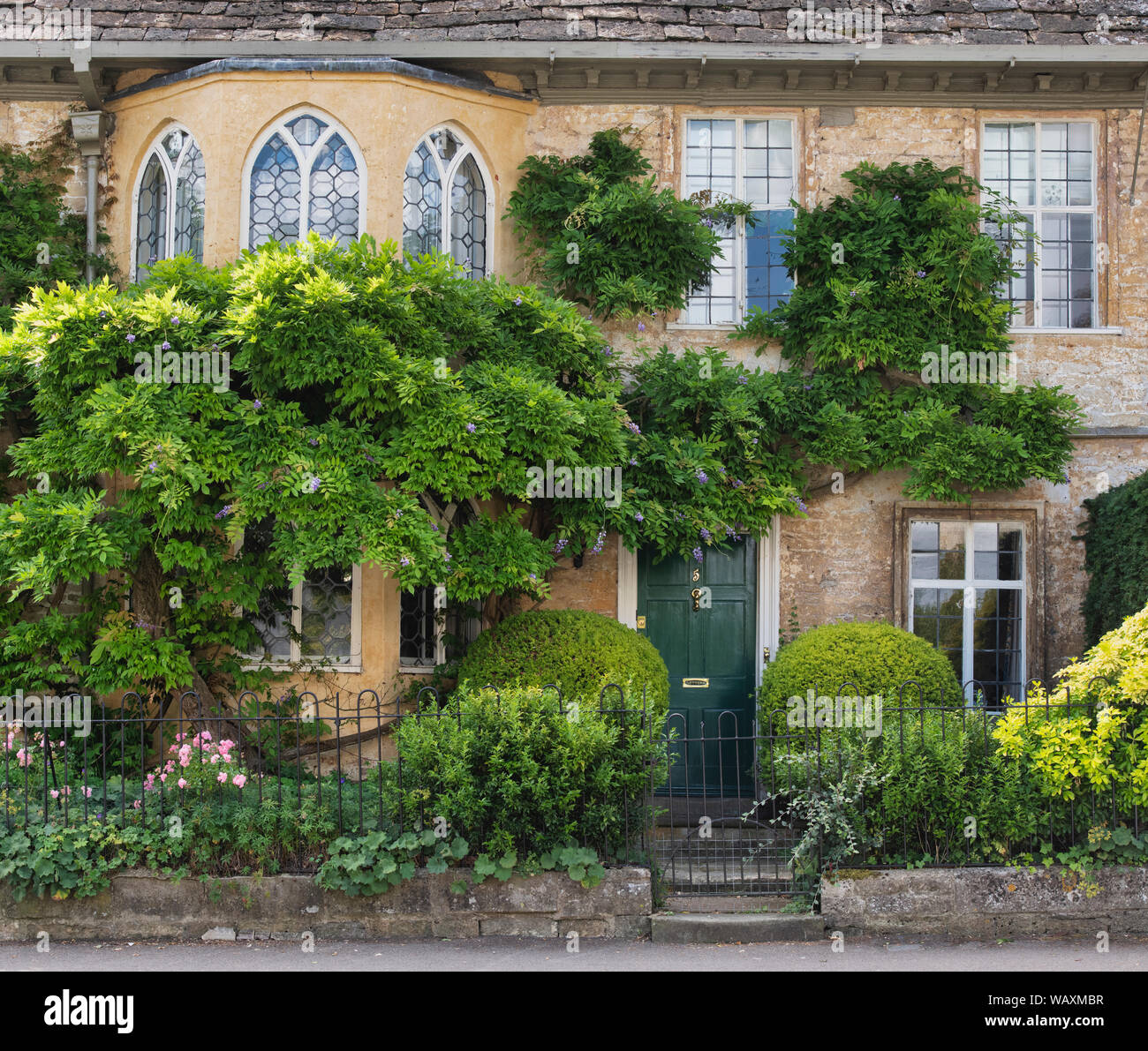 Il fogliame di glicine che copre una casa lungo Cecily hill, Cirencester, Cotswolds, Gloucestershire, Inghilterra Foto Stock