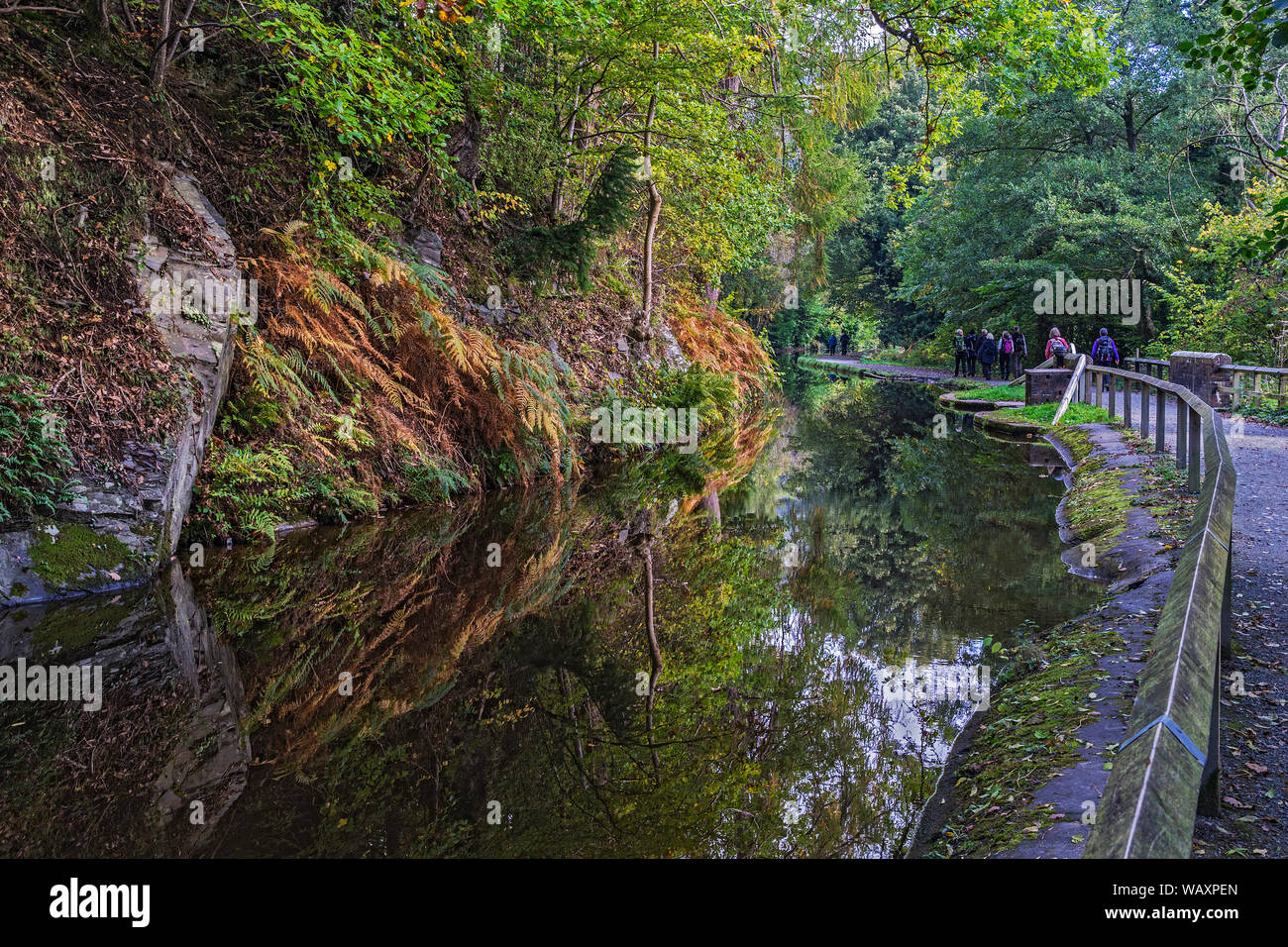 Autunno in Llangollen canal vicino a Llangollen town North Wales UK Ottobre 2018 Foto Stock