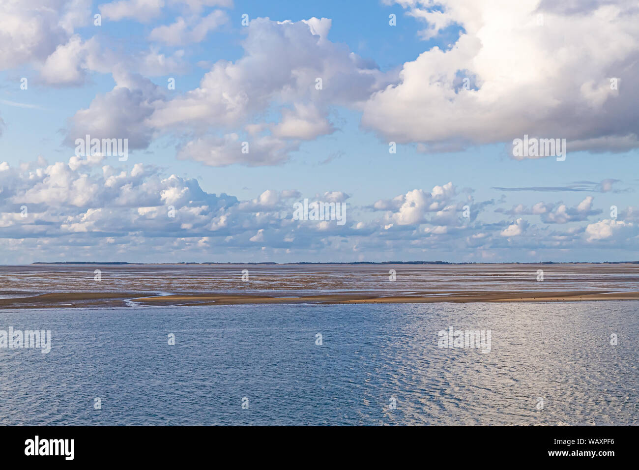 Le velme, marea di declino, Isola di Amrum, Germyn Foto Stock