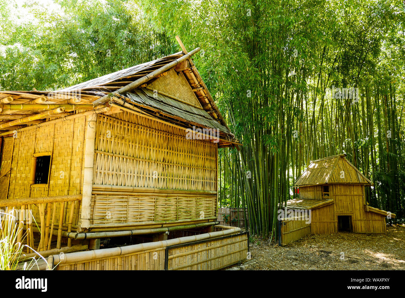 La ricostruzione di un villaggio laotiano, la Bambouseraie - Bamboo Park, Prafrance, Anduze, Gard, Francia Foto Stock
