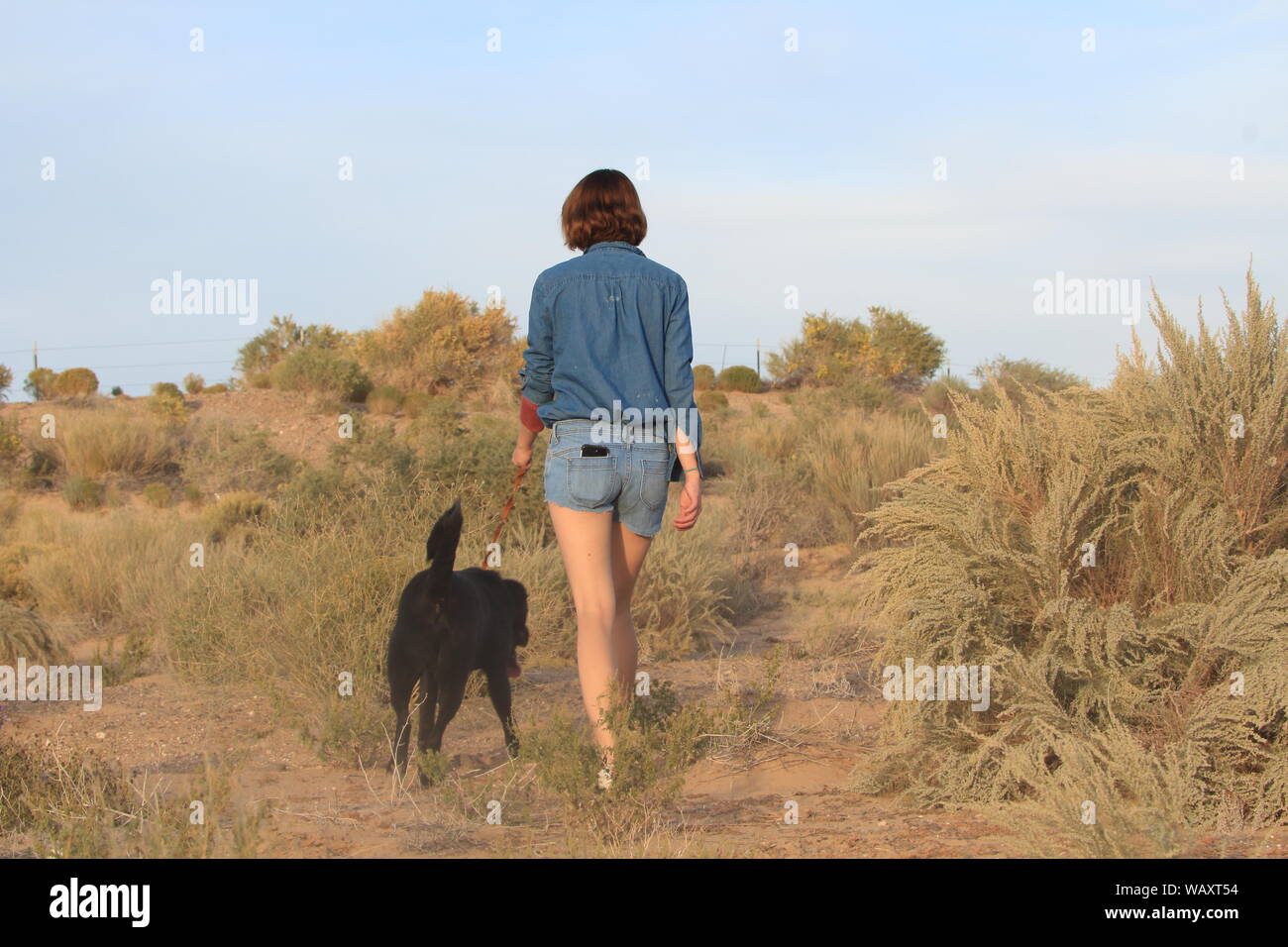 Una ragazza camminare il suo cane su di una collina nel deserto al tramonto indossa jeans e maglietta pantaloncini durante una calda giornata estiva. Foto Stock