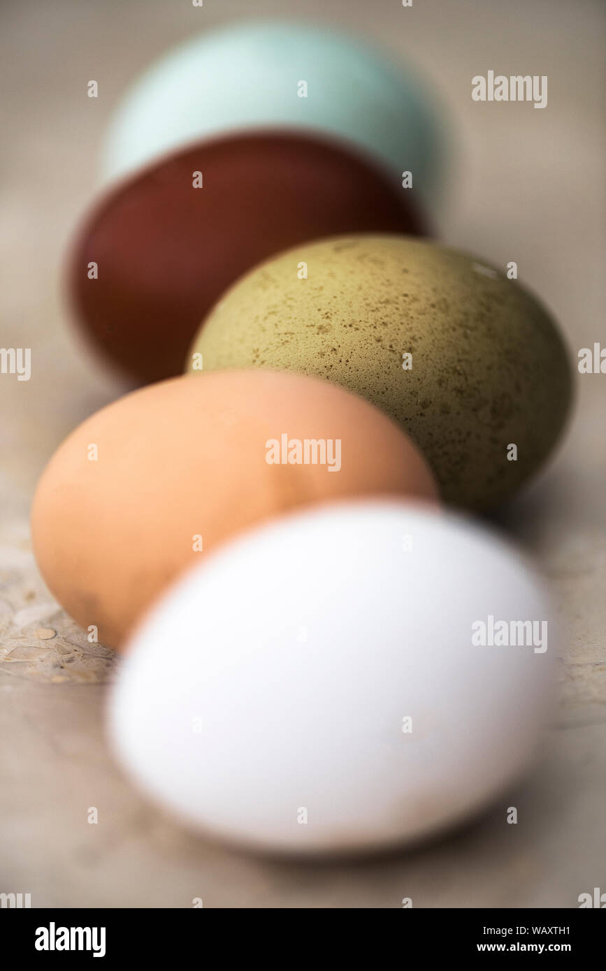 Immagine artistica di vario colore uova di galline su un piano di marmo. Foto Stock