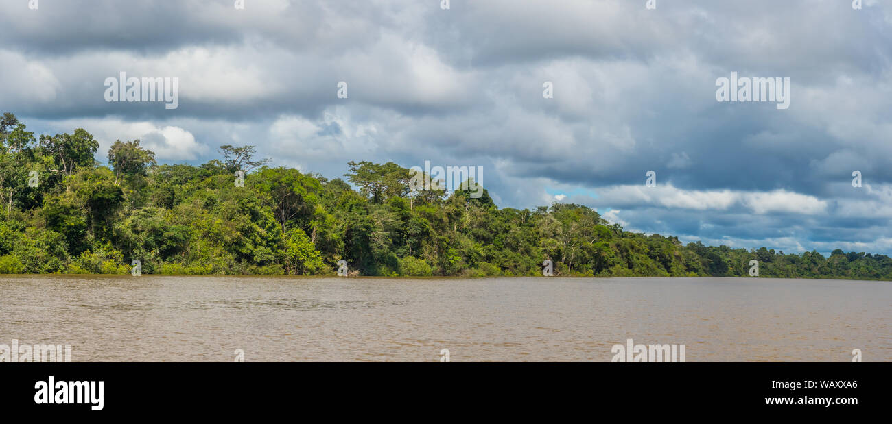 Vista panoramica della laguna Coati vicino al fiume Javari, tributario del fiume Rio delle Amazzoni, Amazonia. Selva sul confine del Brasile e Perù. Sud Ameri Foto Stock