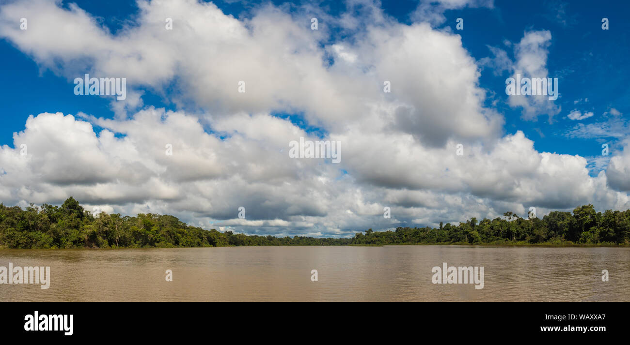 Vista panoramica della laguna Coati vicino al fiume Javari, tributario del fiume Rio delle Amazzoni, Amazonia. Selva sul confine del Brasile e Perù. Sud Ameri Foto Stock