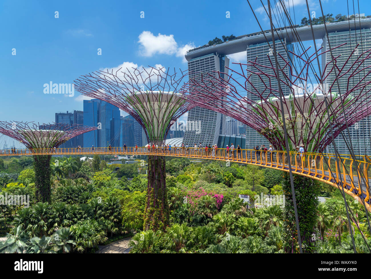 La OCBC Skyway, una passerella aerea nel Supertree Grove, guardando verso la Marina Bay Sands, giardini dalla baia, città di Singapore, Singapore Foto Stock