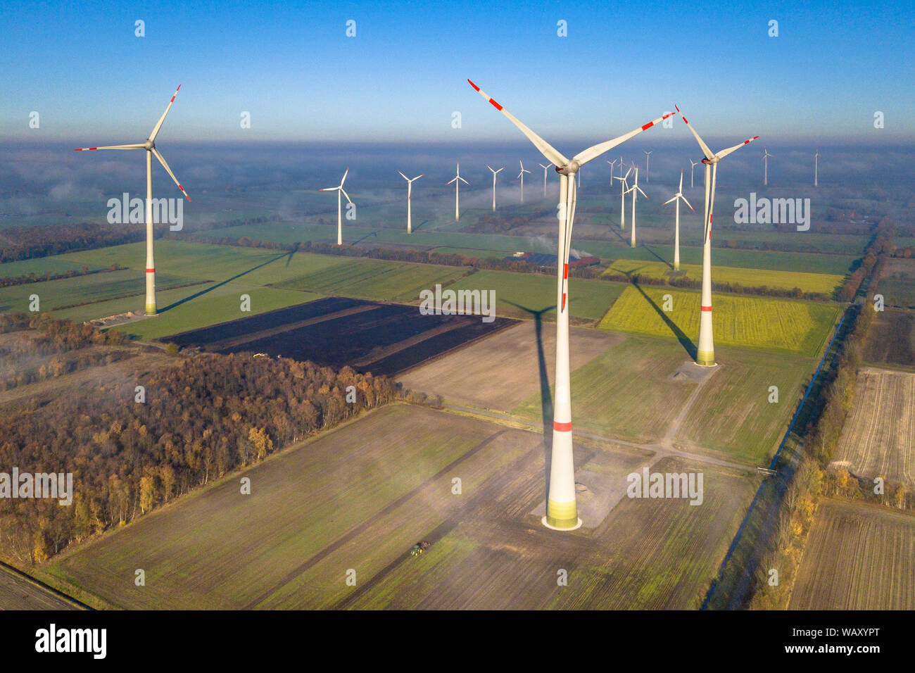 Vista aerea dell'energia eolica turbine di centrali eoliche sopra lo strato di nebbia sulla campagna tedesca al sole del mattino. Germania Foto Stock