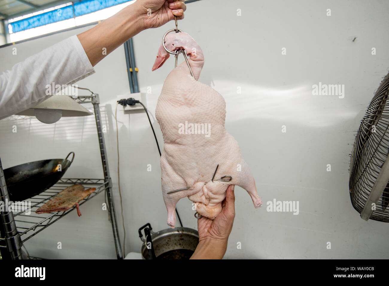 L anatra arrosto, gill duck, cibo cinese Foto Stock