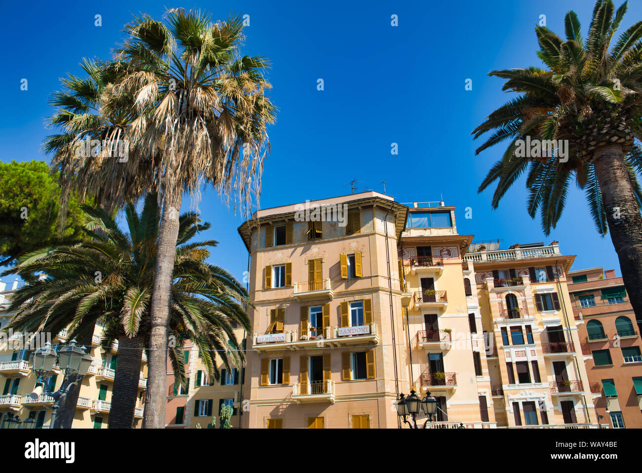 LIGURIA ITALIA - Agosto 16, 2019: Hotel Albergo Bandoni si trova a Rapallo, Liguria, Italia. Exotic Italia Foto Stock