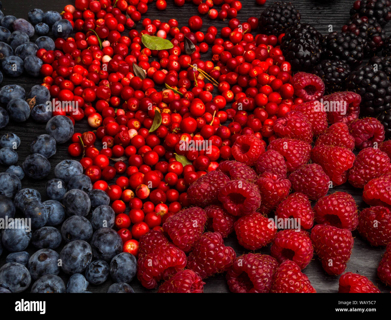 Super antiossidanti. super. mix di frutti di bosco freschi, ricca di resveratrolo, vitamine, cibo crudo ingredienti. nutrizione sfondo, nutriente-ricchi alimenti Foto Stock
